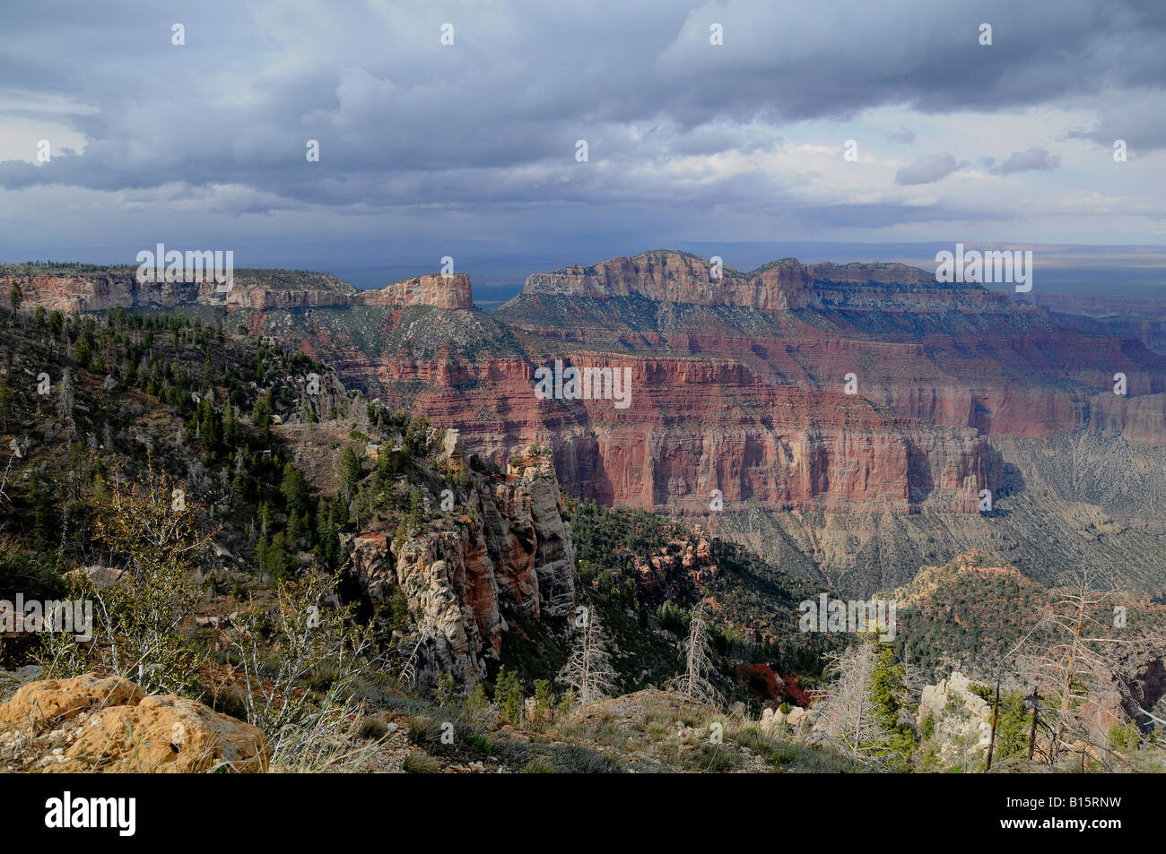 Blick auf den Grand Canyon aus Point Imperial Stockfoto