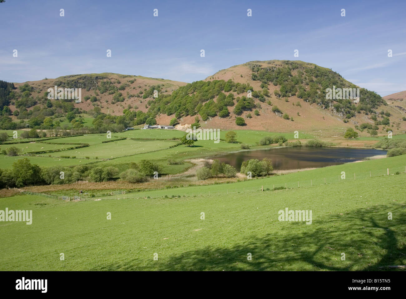 Welsh hill Farm in der offenen Landschaft in der Nähe von Rhayader Powys Wales UK Stockfoto