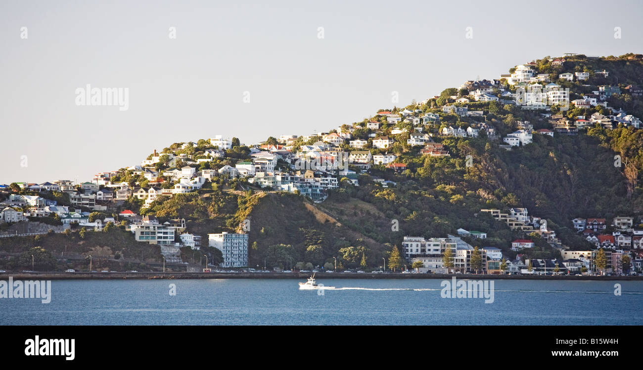 MORGENDÄMMERUNG ÜBER WELLINGTON VORSTADT NEW ZEALAND Stockfoto