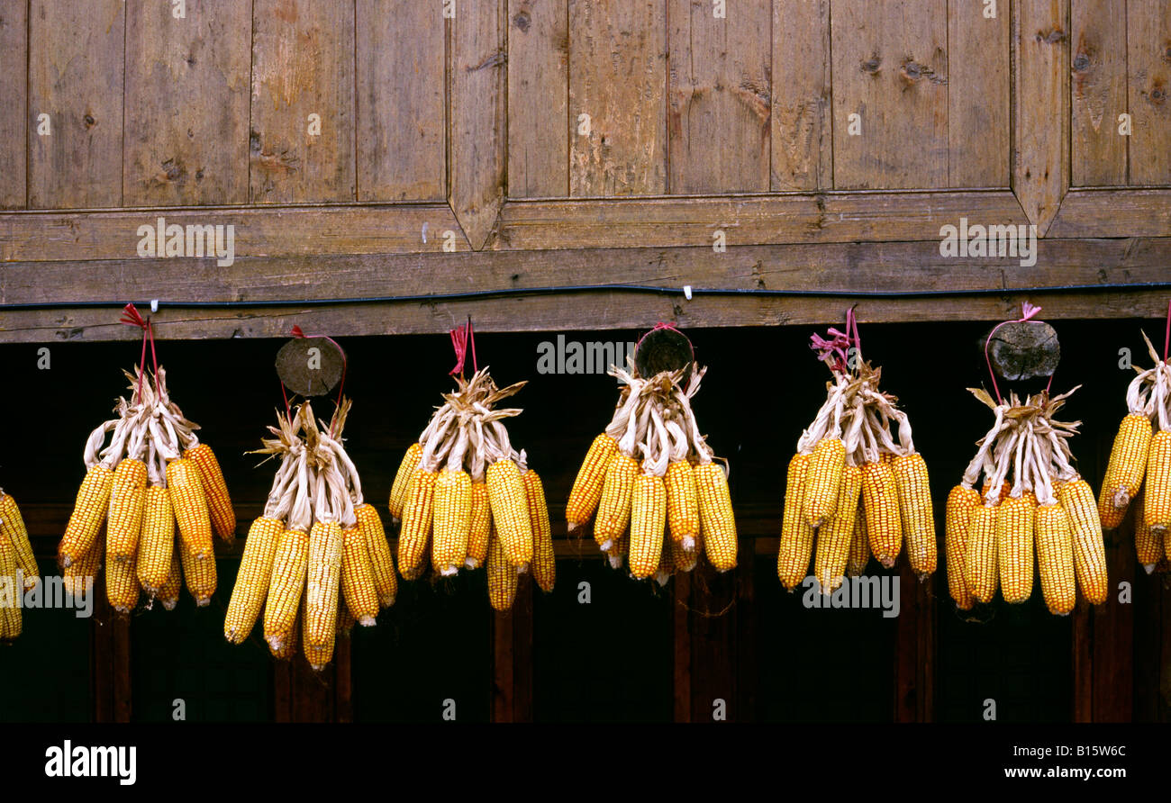 27. August 2006 - Mais hängen zum Trocknen von einem Haus am Yao Minderheit Dorf von Ping'an in der chinesischen Provinz Guangxi. Stockfoto