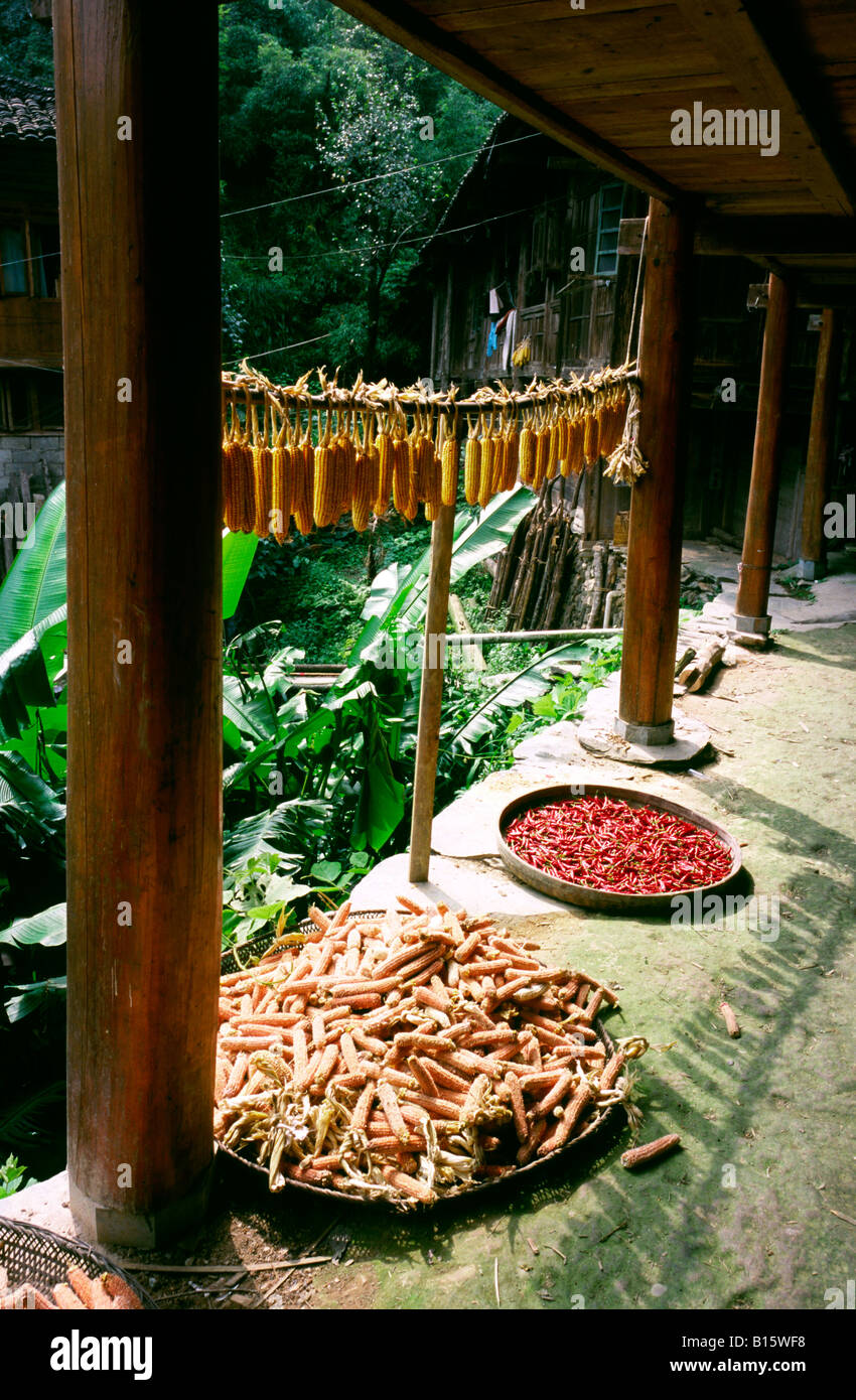 27. August 2006 - Mais hängen zum Trocknen von einem Haus am Yao Minderheit Dorf von Ping'an in der chinesischen Provinz Guangxi. Stockfoto