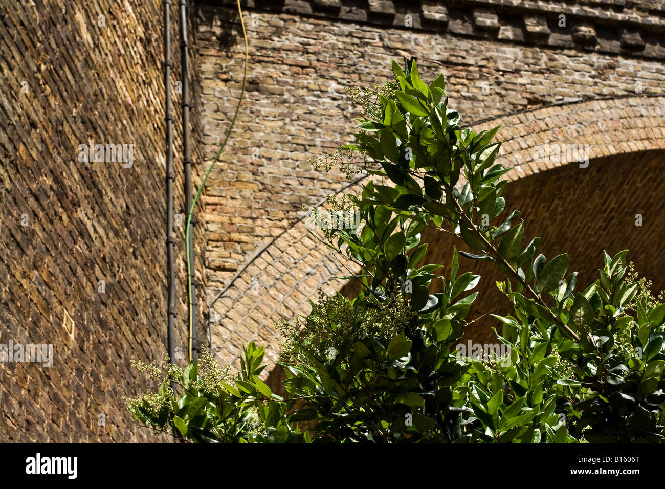 Pflanzen vor Ziegel der alten Eisenbahnbrücke. Stockfoto