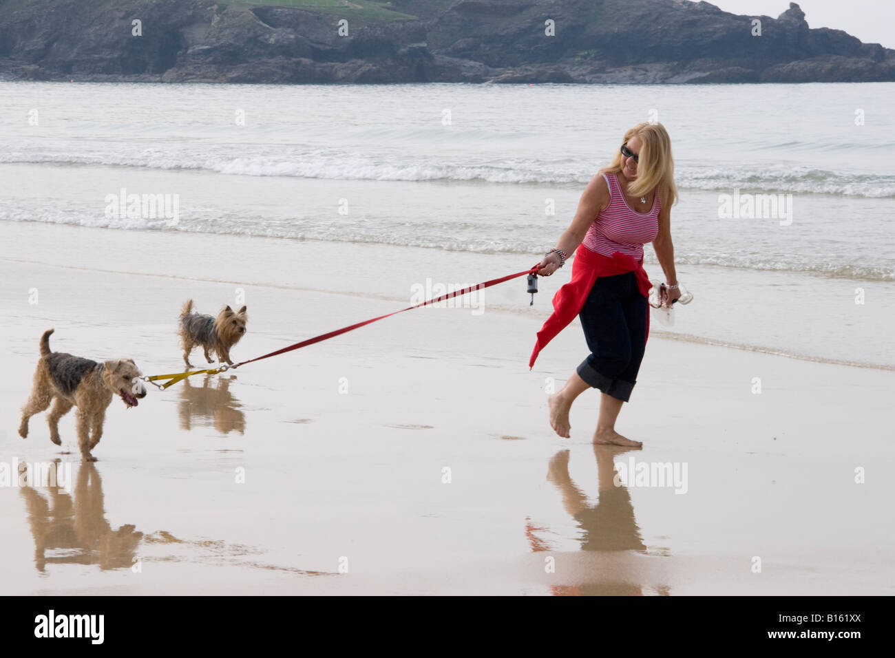 Reife Frau Hunden am Strand spazieren Stockfoto