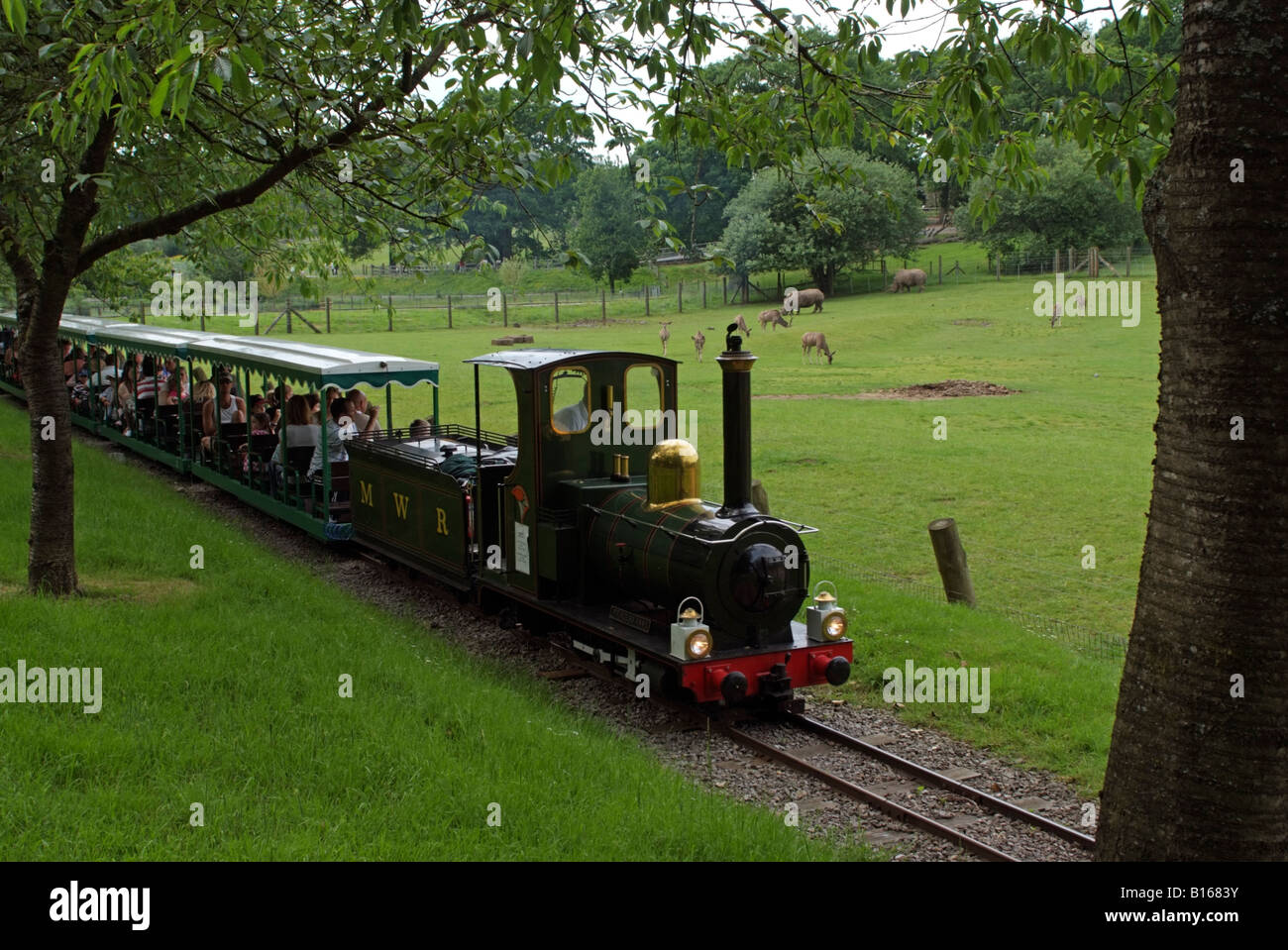 Miniatur Eisenbahn Zug und Passagiere im Marwell Zoo Hampshire England UK Stockfoto