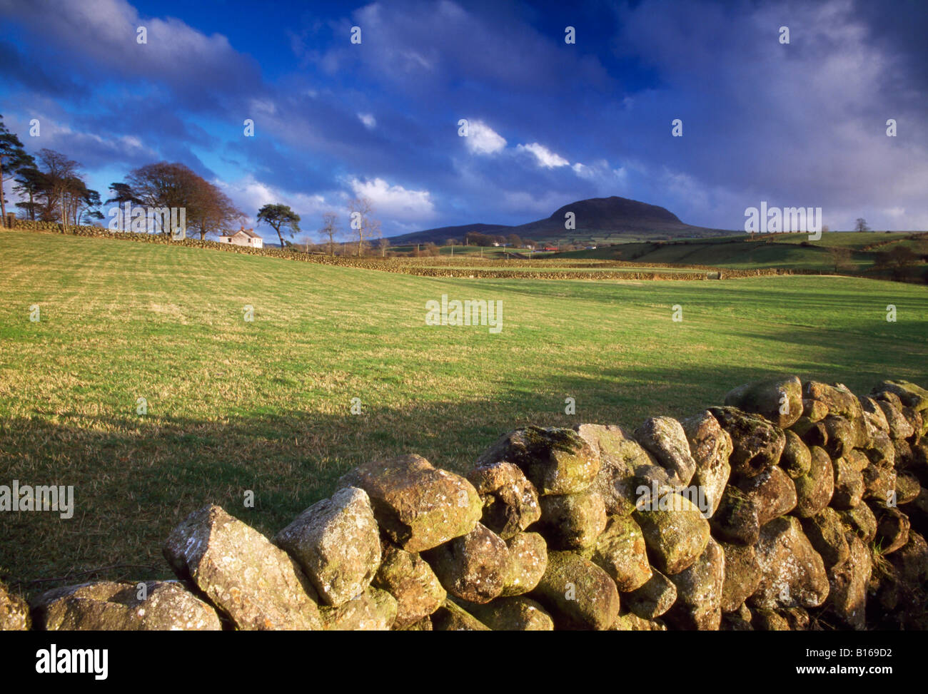 Grafschaft Antrim, Irland, Slemish in der Ferne Stockfoto