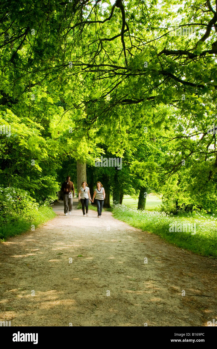 Drei Menschen zu Fuß auf einem von Bäumen gesäumten Weg im Sommer bei Coate Water Country Park, in der Nähe von Swindon, Wiltshire, England, UK Stockfoto