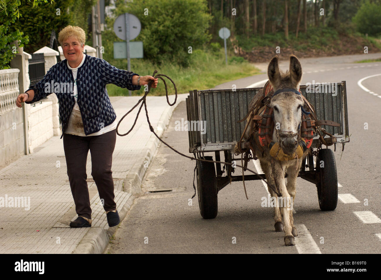 Spanierin und ihr Eselskarren in der spanischen Region Galicien. Stockfoto