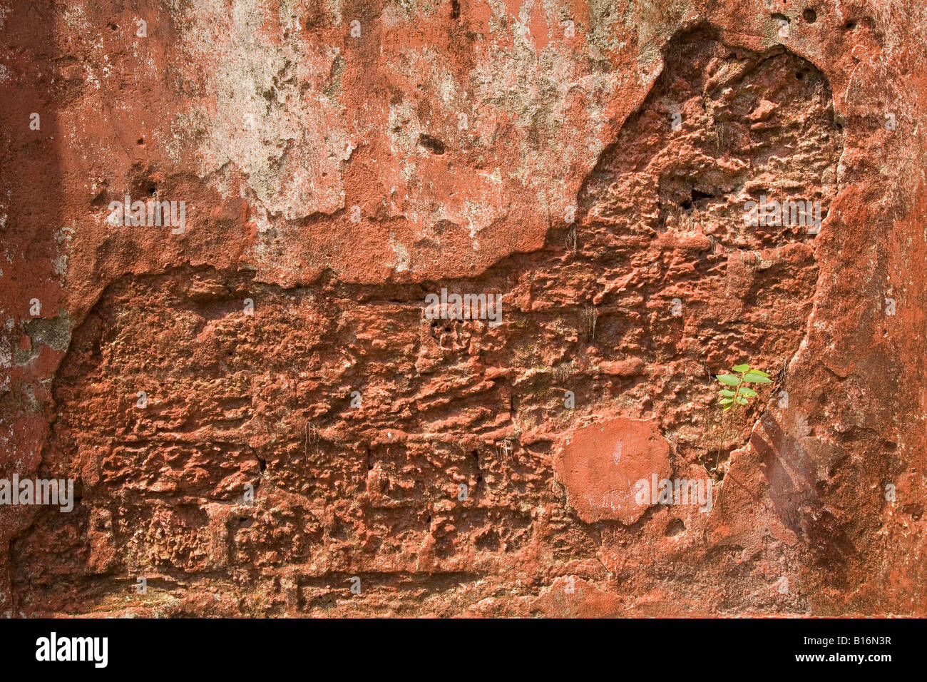 Eine Wand in Mattancherry in Kochi, Indien. Die Wand hat eine Menge Textur durch die roten Putz ausgesetzt-Ziegel. Stockfoto