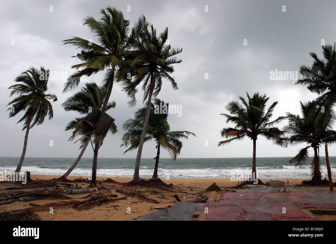 Ein ganzes Dorf in LTTE kontrollierten Gebiet wird von der Halbinsel Jaffna abgeflacht, das im Jahr 2004 durch den Tsunami zerstört wird. Stockfoto