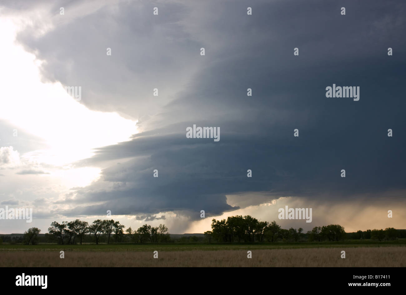 Gewitterwolken am Abend mit der Entwicklung von Gewitter und Regen Stockfoto