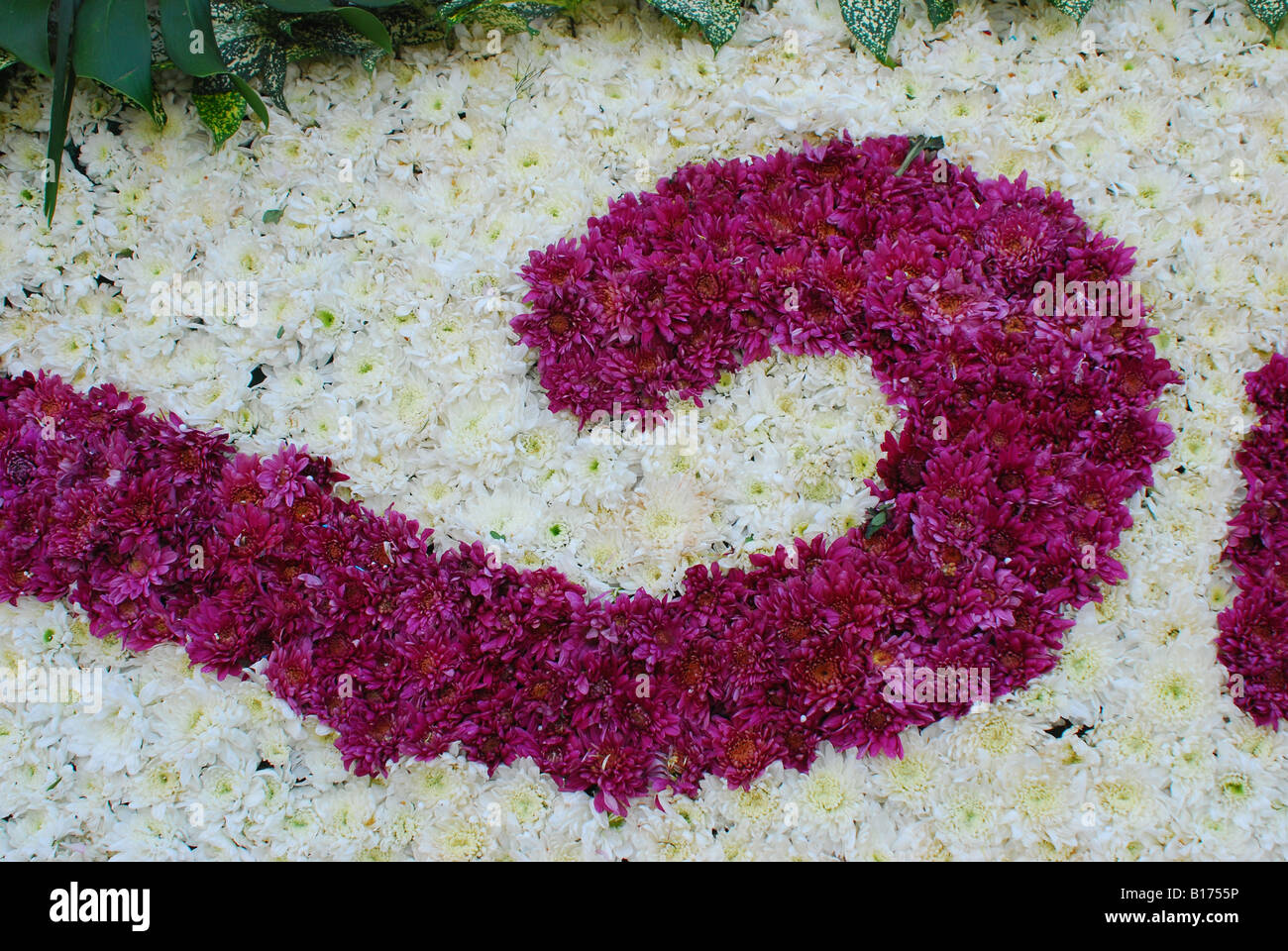 Künstlerische Blüte Zusammensetzung Stockfoto