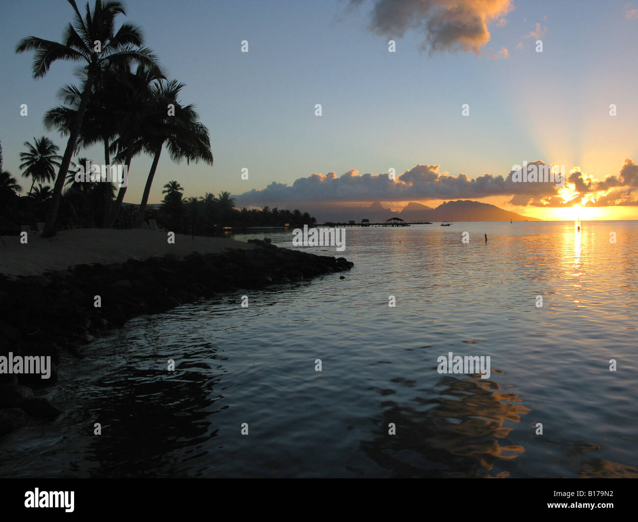 Die Palmen gegen den Tahitian Himmel während eines Sonnenuntergangs gezeigt.  Foto von Tom Zuback.Tom Zuback Stockfoto