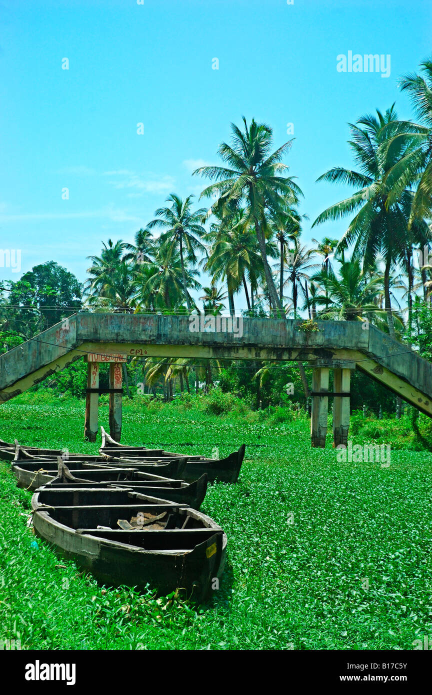 Kerala Stockfoto