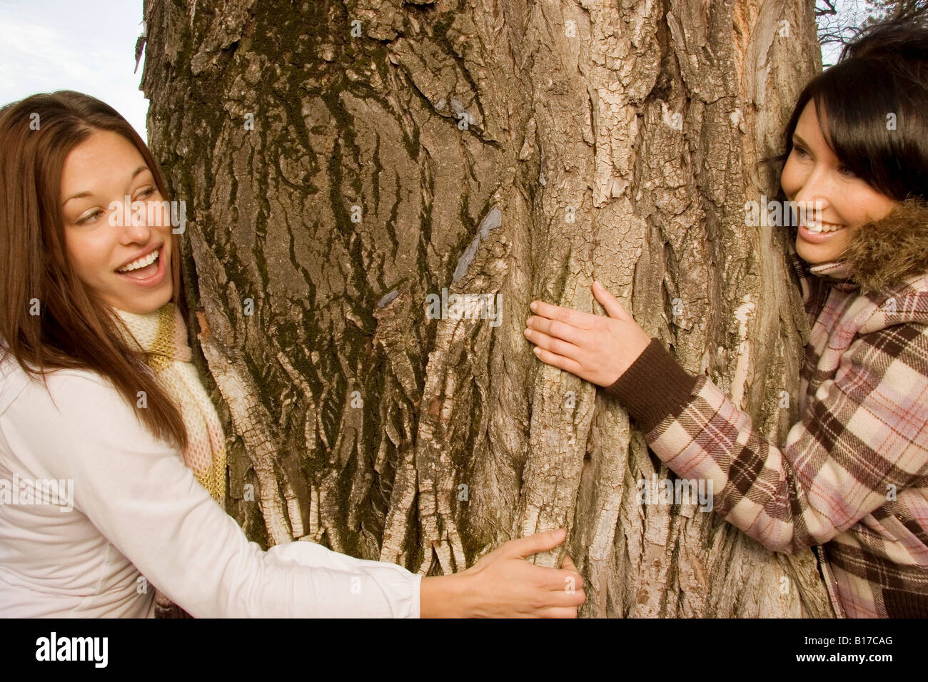 Freundinnen umarmen Baum Stockfoto