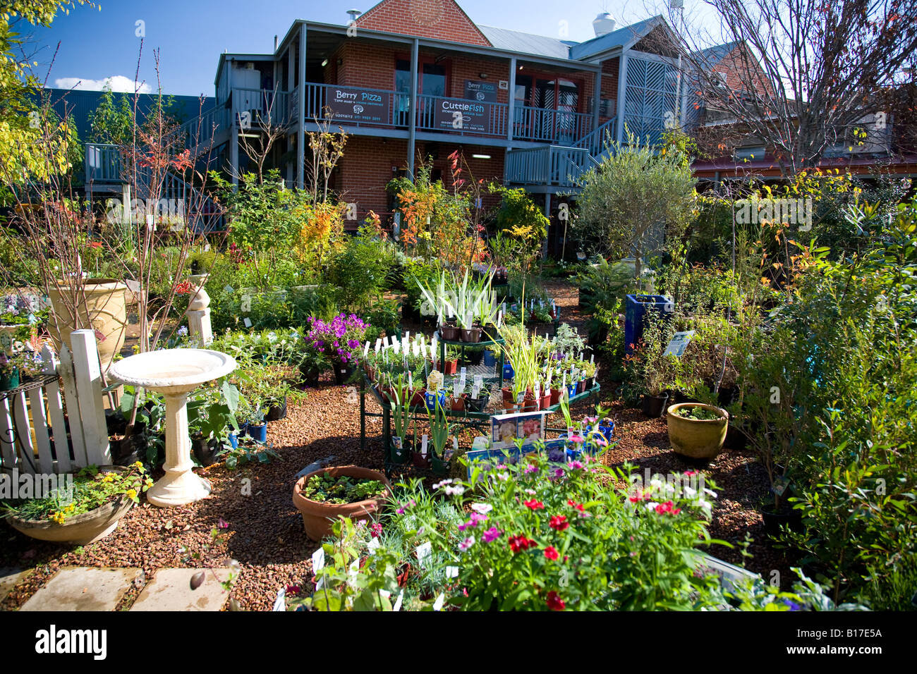 Gartencenter in new South wales Stadt von Berry, die in Shoalhaven an der neuen South Wales Südküste, Australien Stockfoto