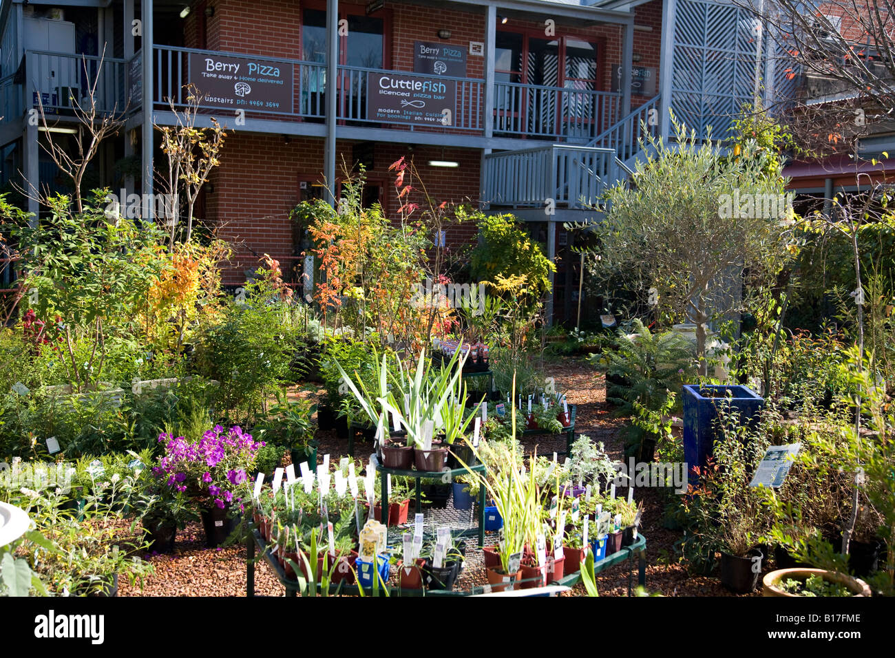 Garten-Center in der Ortschaft Beere in Shoalhaven an der neuen South Wales Südküste, Australien Stockfoto