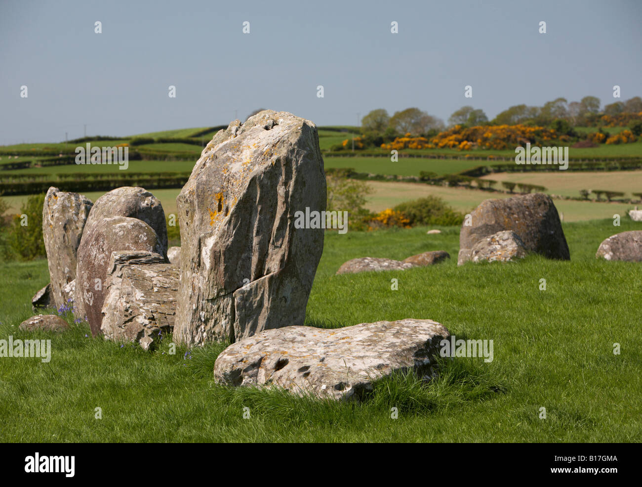 einige der Steine in der megalithischen Ballynoe Steinkreis Site datiert um 2000 in der Grafschaft unten Nahaufnahme Stockfoto