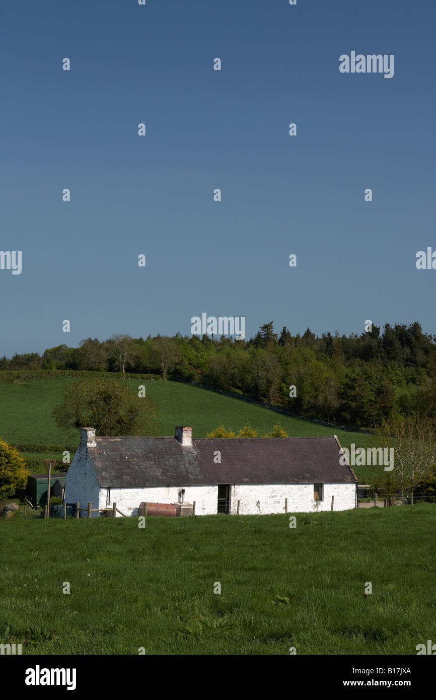 traditionelle irische weiß getünchten Steinhaus mit Schieferdach in Ackerland Grafschaft, Nord-Irland Stockfoto