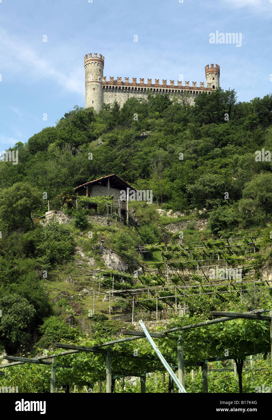 Italien, Piemont, Turin, Schloss Montalto und Weinberge. Stockfoto