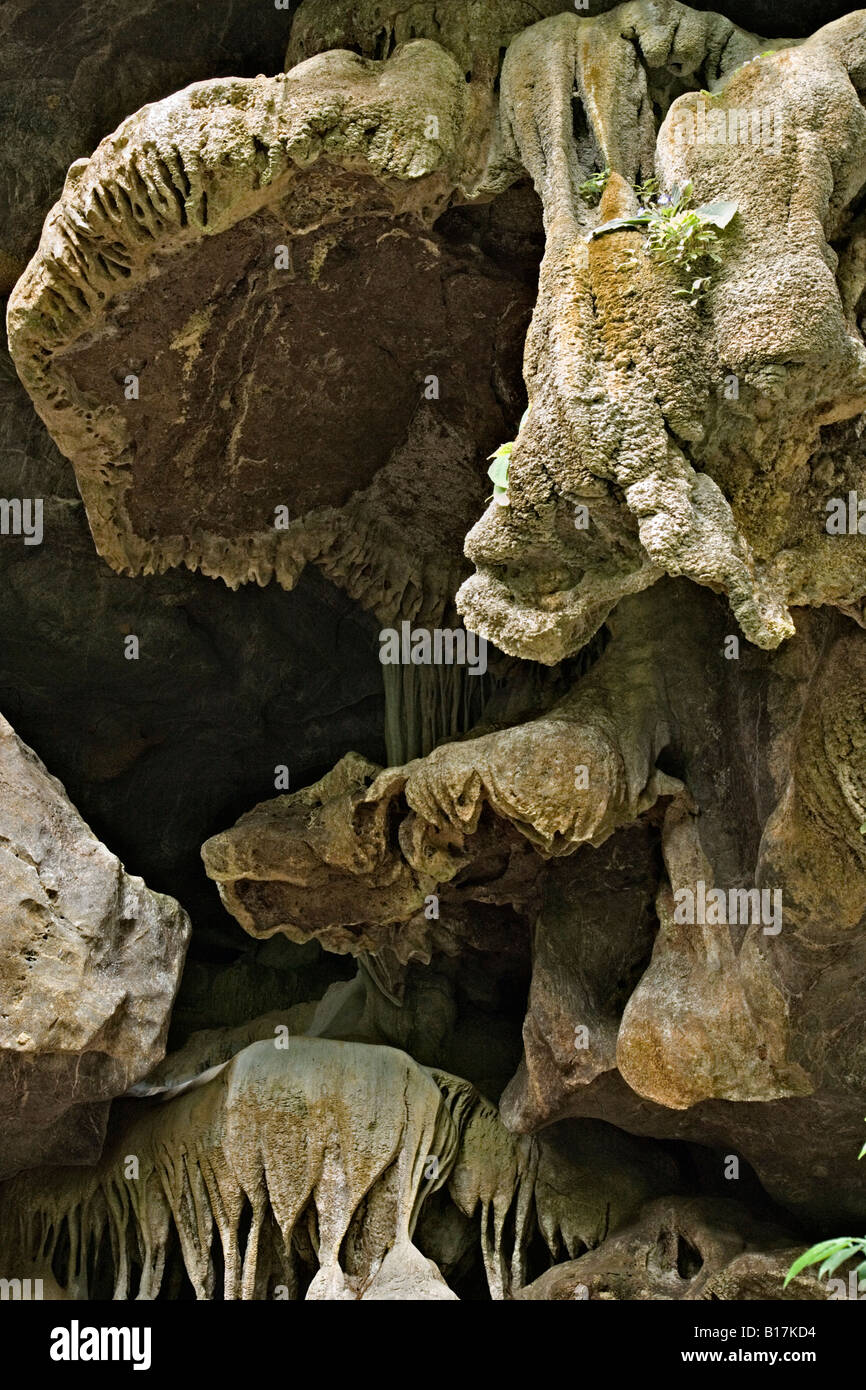 Stalaktiten in Kalkstein Karst-Höhle, Sa Nang Manora Forest Park, Phang Nga, Thailand Stockfoto