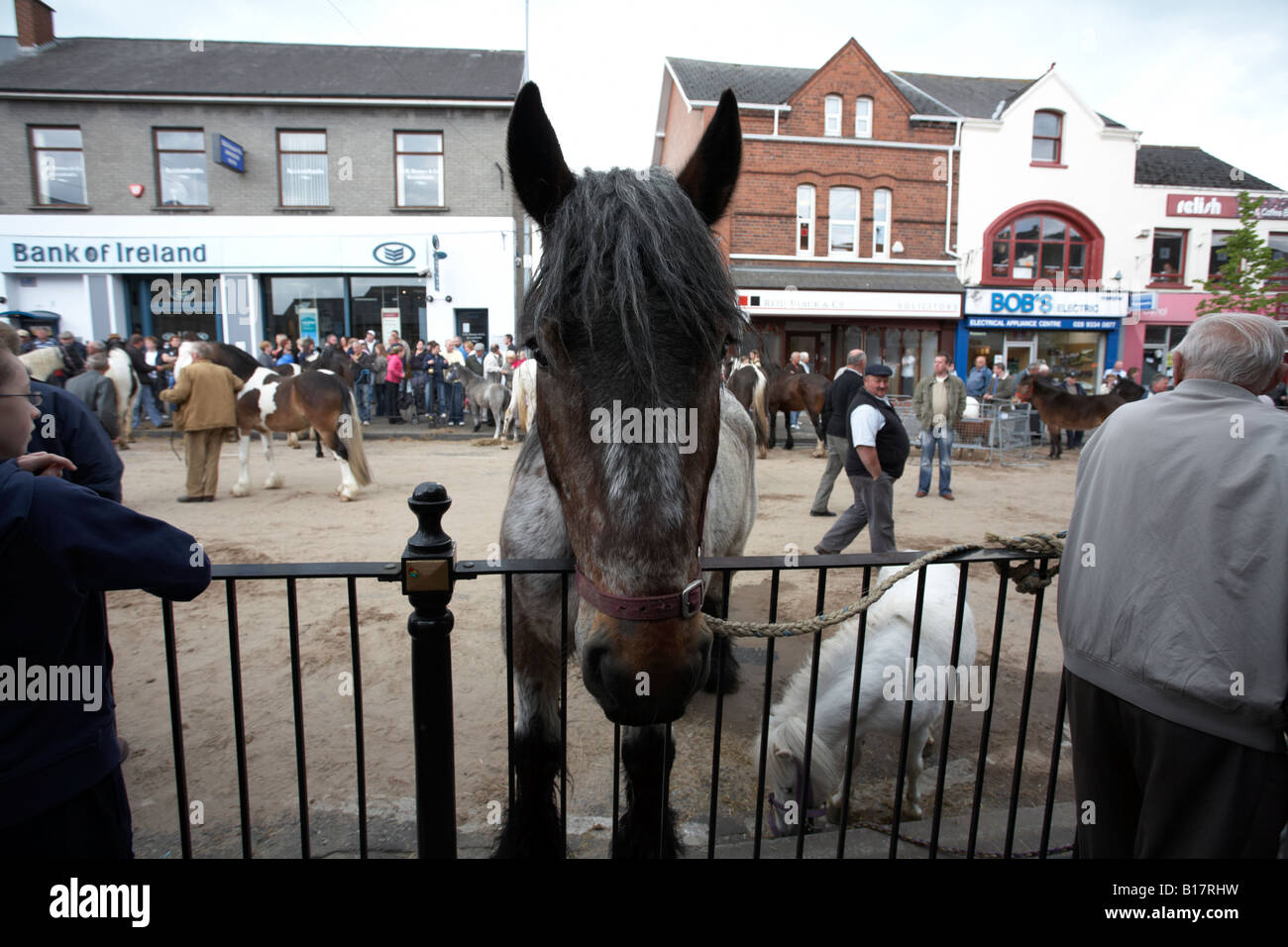 Pferd auf Geländer Zaun gebunden, während das Pferd fair auf die Hennef kann fair Stockfoto