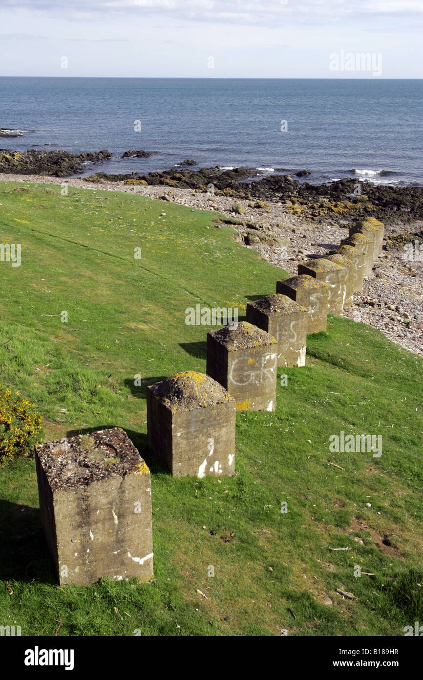 Weltkrieg zwei tank fallen und Hindernisse, zur Abwehr von möglichen feindlichen Angriff, am Strand von Inverbervie, Scotland, UK Stockfoto