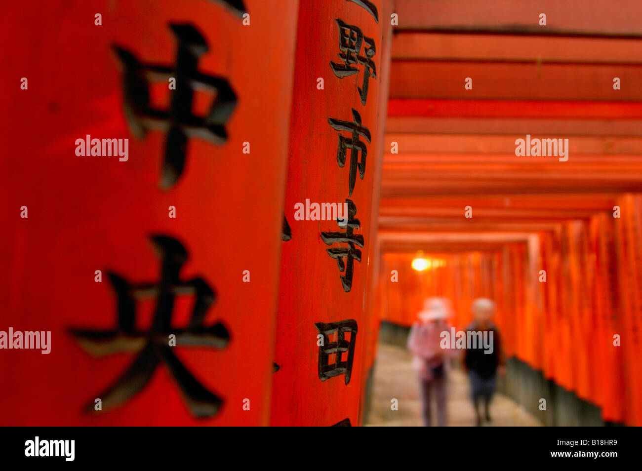 ToriiTore Fushimi InariTaisha Schrein KyotoHonshu, Japan