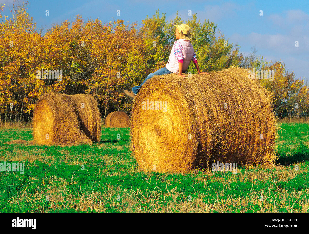 17 Jahre altes Mädchen auf Luzerne Rolle im Herbst, in der Nähe von Winnipeg, Manitoba, Kanada Stockfoto