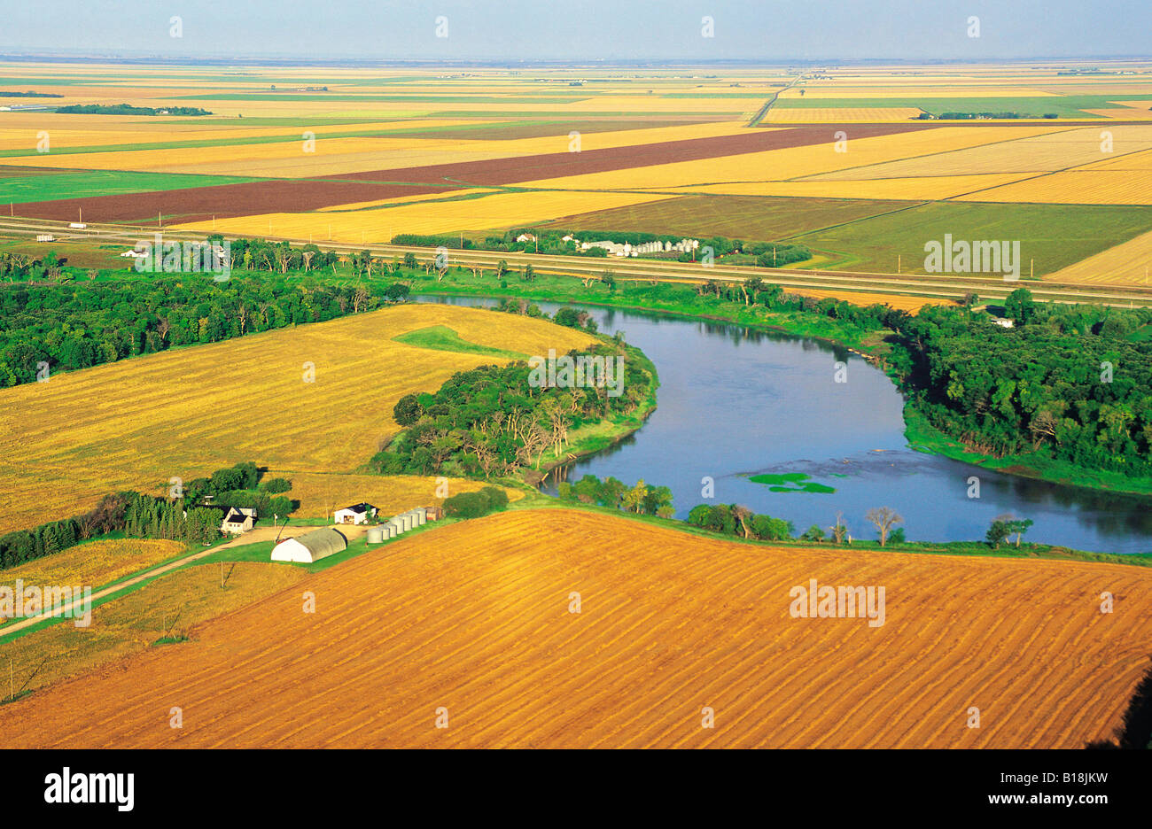Ackerland, Red River Valley in der Nähe von St. Agathe, Manitoba, Kanada Stockfoto