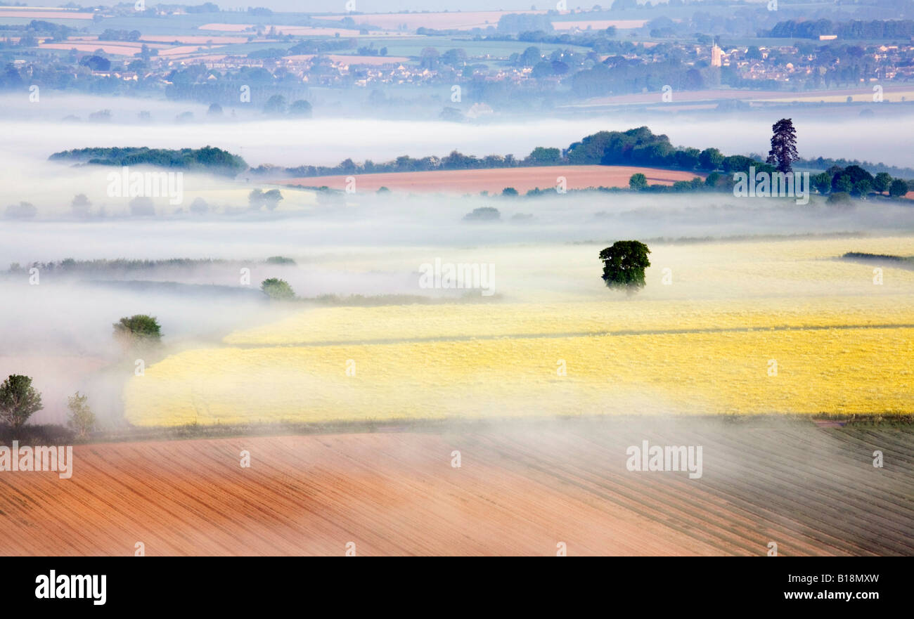 Clearing-Nebel über der Landschaft von Somerset Stockfoto