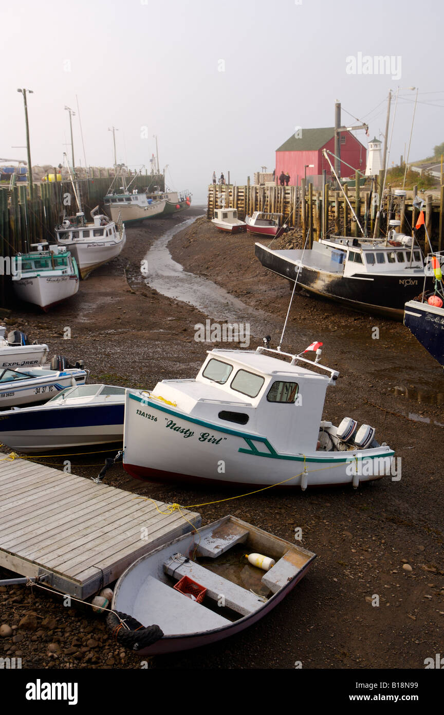 Boote an der Anlegestelle in Hallen Hafen, Bucht von Fundy, Minas Kanal, Evangeline Trail, Nova Scotia, Kanada gebunden. Stockfoto