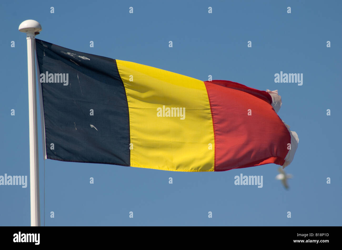 Belgische Trikolore Flagge Banner fliegen - schwarz gelben und roten Längsstreifen - blauer Himmel Stockfoto