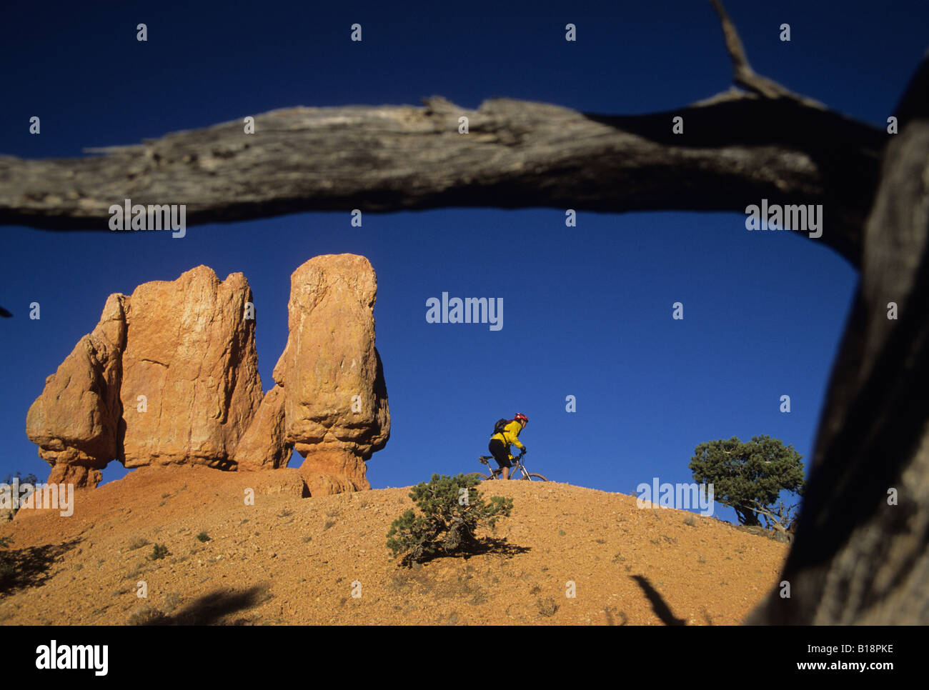 Ein Radfahrer, Klettern, Reiten, eine Spur auf Thunder Mountain im US-Bundesstaat Utah. Stockfoto