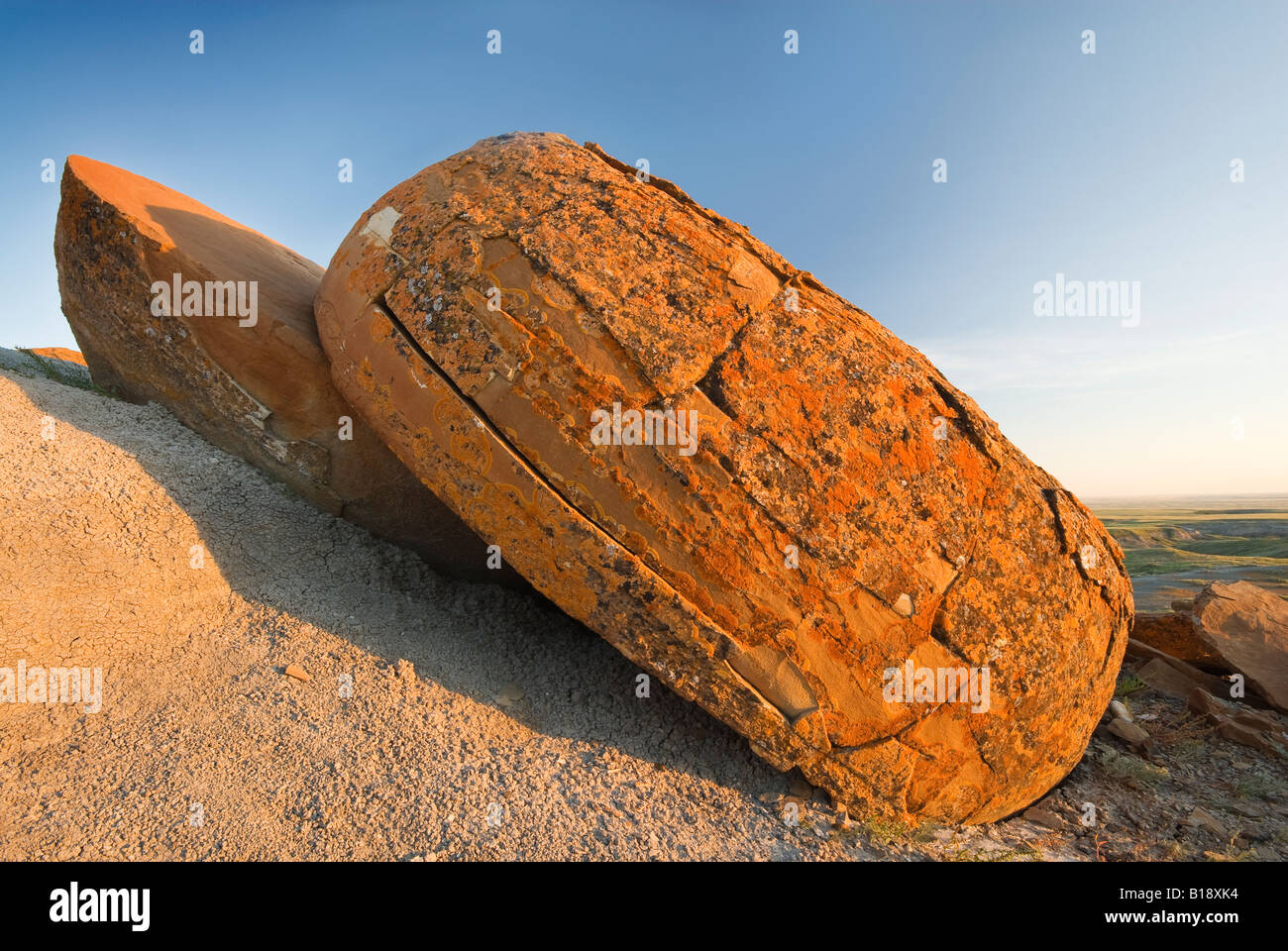 Sandstein Konkretion, Red Rock Coulee Naturraum, Alberta, Kanada Stockfoto