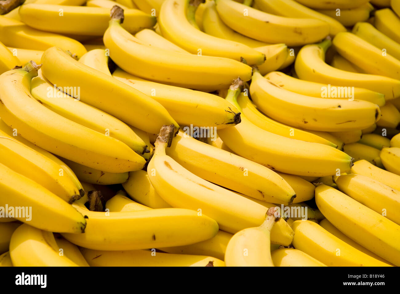 Bananen Reifen Reifen Stockfoto