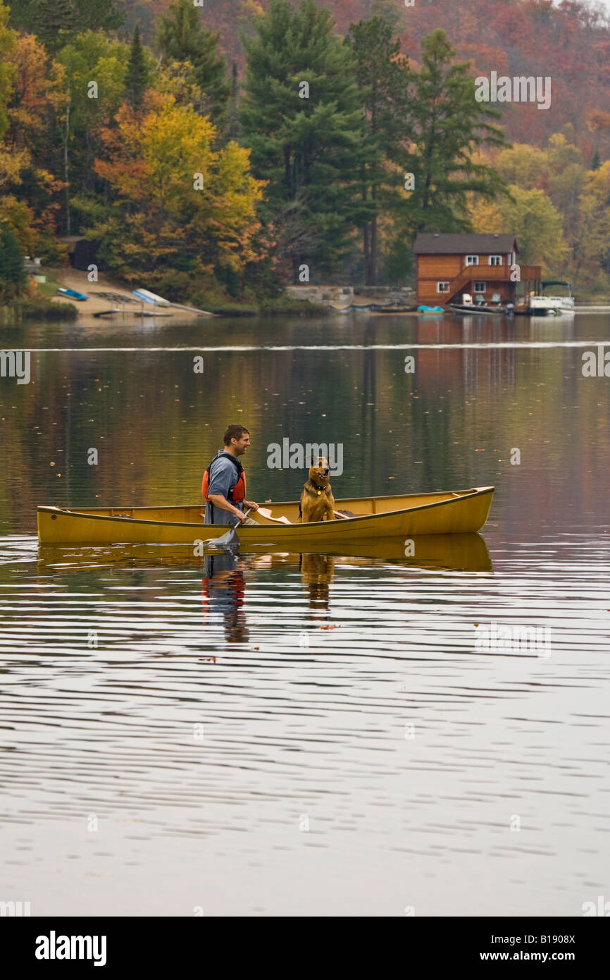 Junger Mann mit Hund auf Habichtsbitterkraut See Kanu fahren im Herbst, Mukoka, Ontario, Kanada. Stockfoto