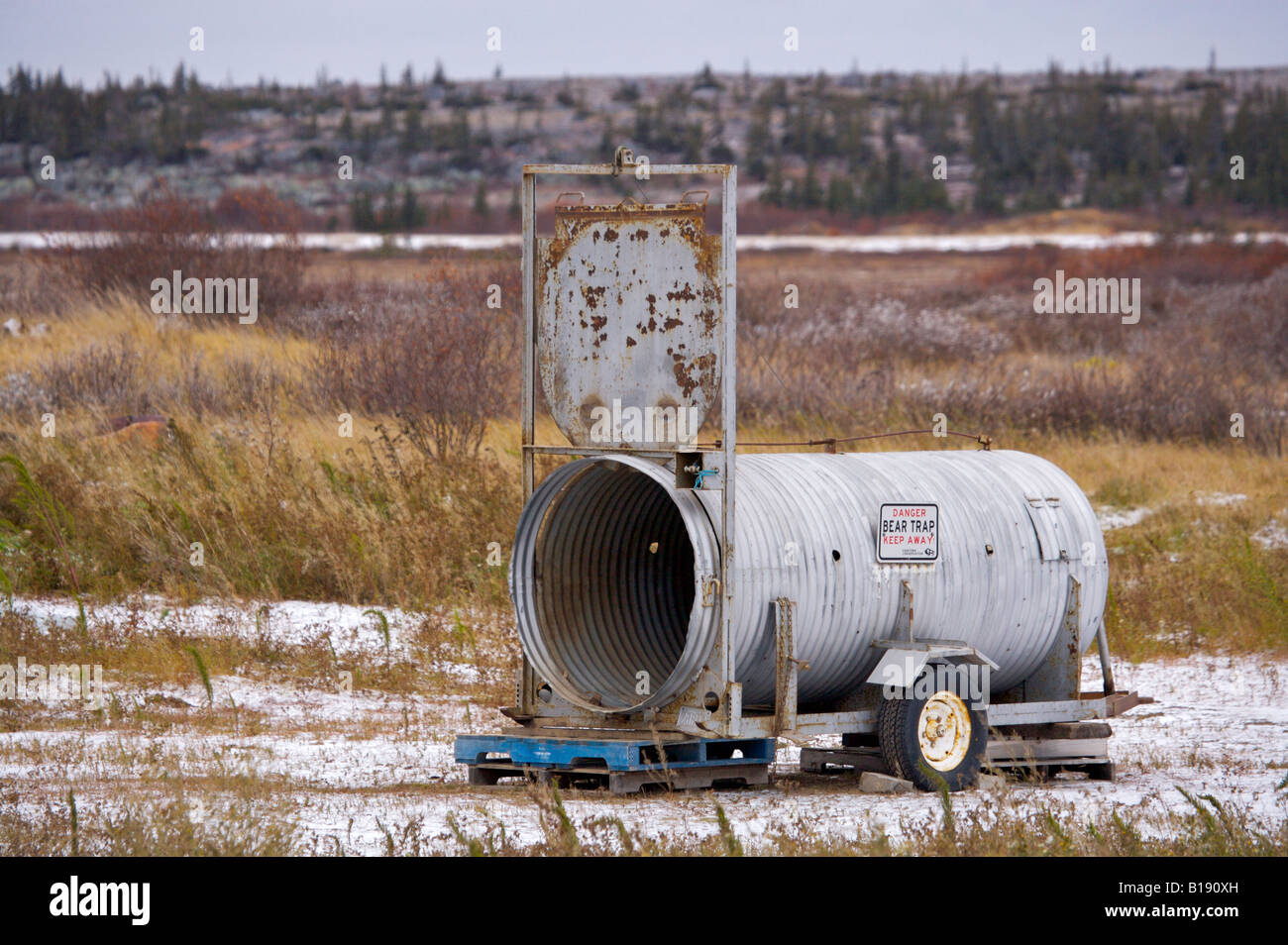Halten Sie Trap an der alten Mülldeponie in Churchill, Manitoba, Kanada. Stockfoto