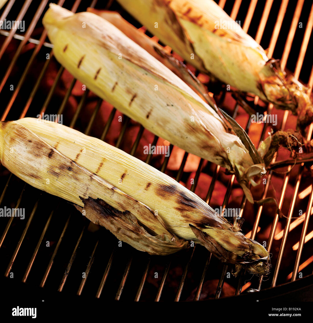 Maiskolben Kochen auf dem Grill mit Schalen auf. Stockfoto