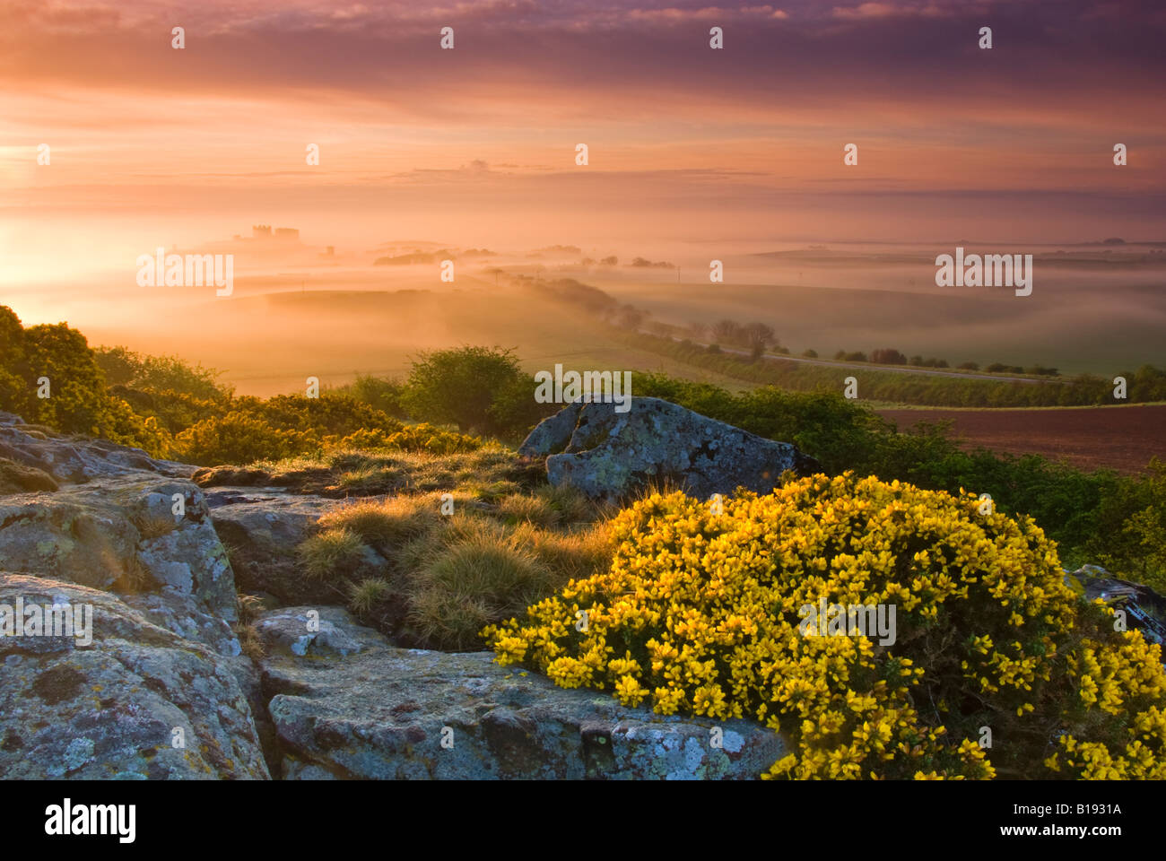 Landschaft/Horizontal, Foto von einem nebligen farbenfrohen Sonnenaufgang mit Bamburgh Castle in der Ferne. Großbritannien GB EU Europa Stockfoto