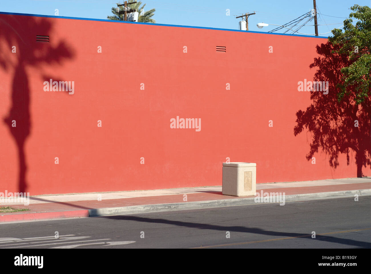 Palm Tree Schatten auf bunte Wand Stockfoto