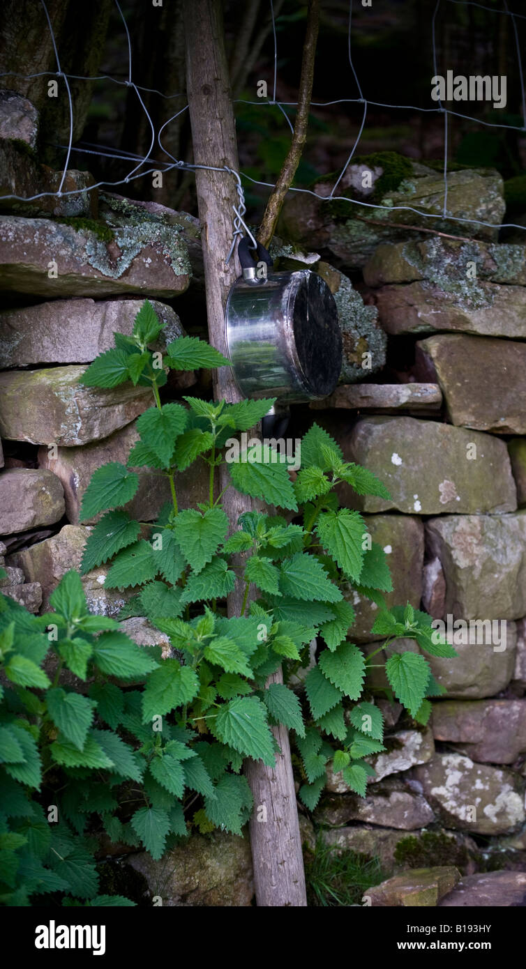 Pfanne Post gegen Trockenmauer in der Nähe von Mill Gill (alte Bande Beck), hängen In den Yorkshire Dales Stockfoto