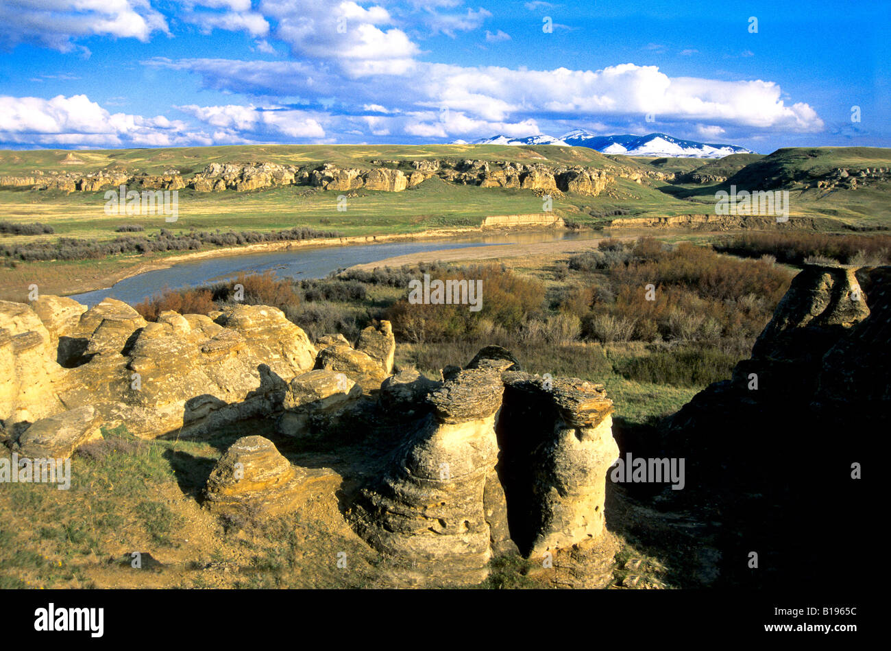 Die Hoodoos und Badlands entlang den Milk River in Writing-On-Stone Provincial Park, Süd-Alberta, Kanada. Stockfoto