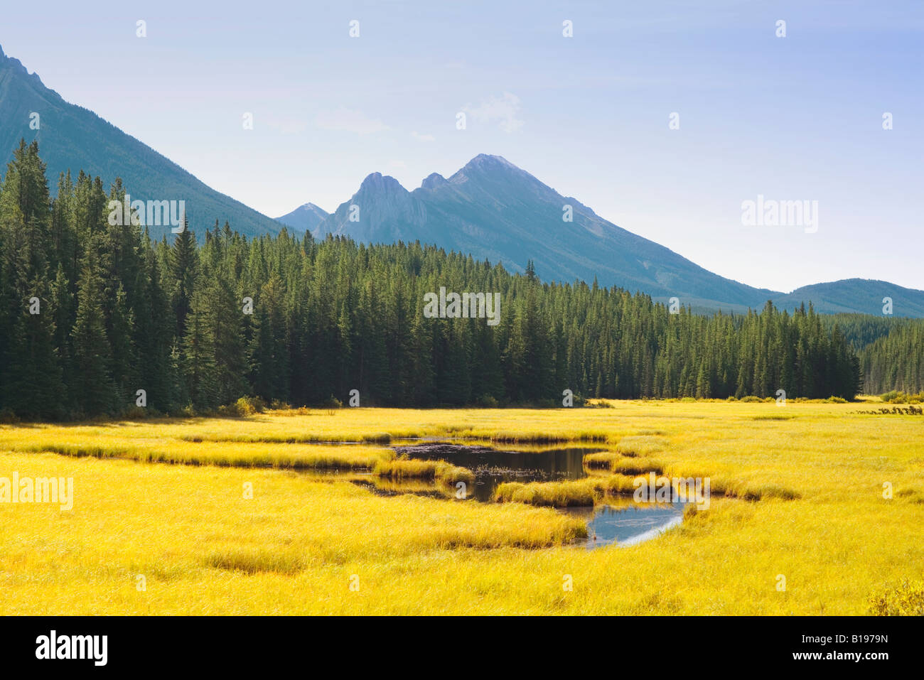 Grissley Creek, Peter Lougheed Provincial Park, Alberta, Kanada Stockfoto