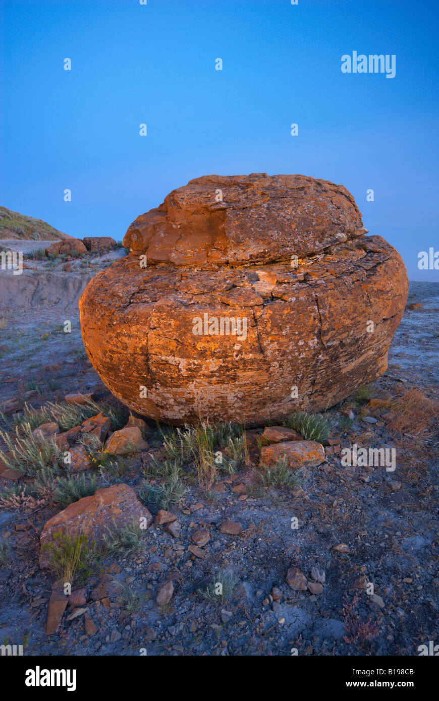 Sandstein Konkretion, Red Rock Coulee Naturraum, Alberta, Kanada. Stockfoto