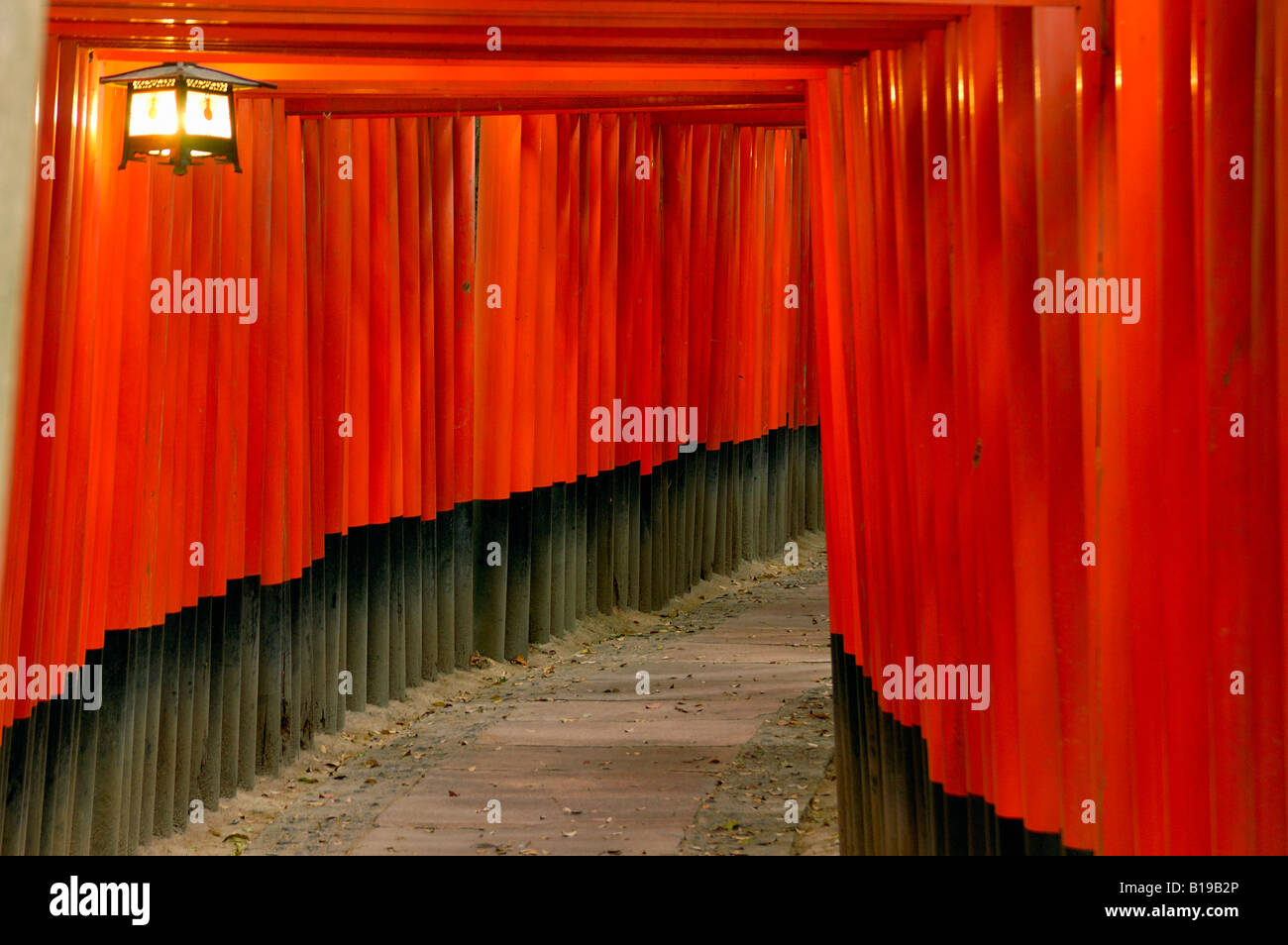 Torii-Tore Fushimi Inari-Taisha Schrein Kyoto-Honshu, Japan Stockfoto
