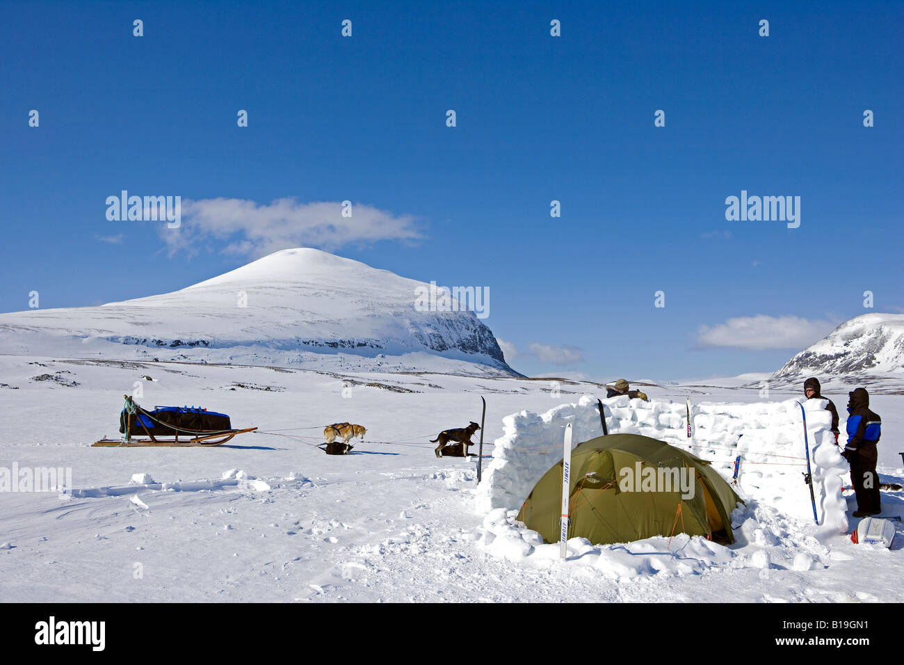 Norwegen, Troms, Lyngen Alpen.  Ganz oben auf dem Plateau, eine Langlauf-Ski-Camp wird von einer Hundeschlitten-Team besucht. Stockfoto