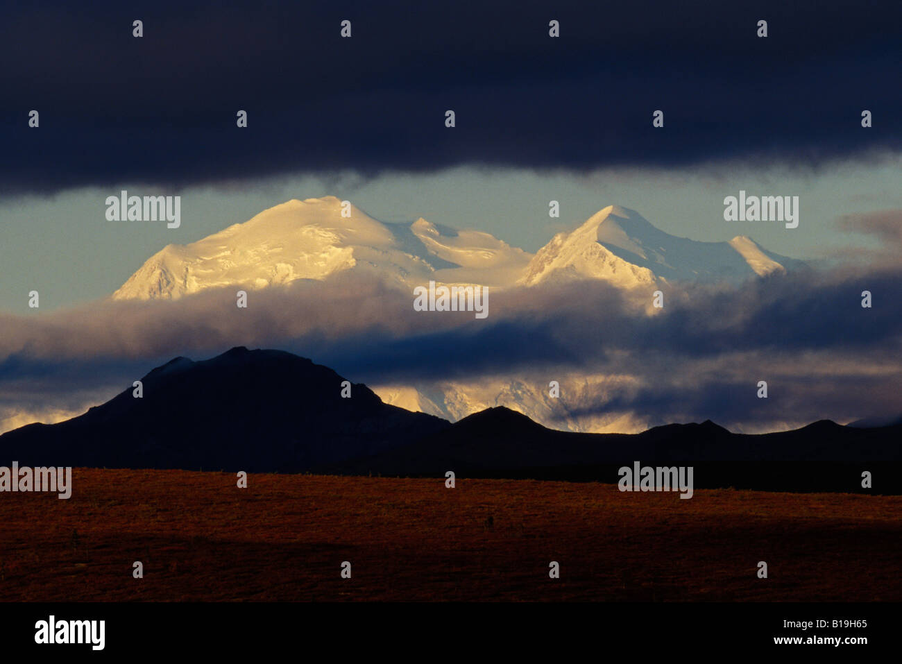USA, Alaska, Denali National Park. Mount McKinley von in der Nähe von Savage River im Denali National Park gesehen. Stockfoto