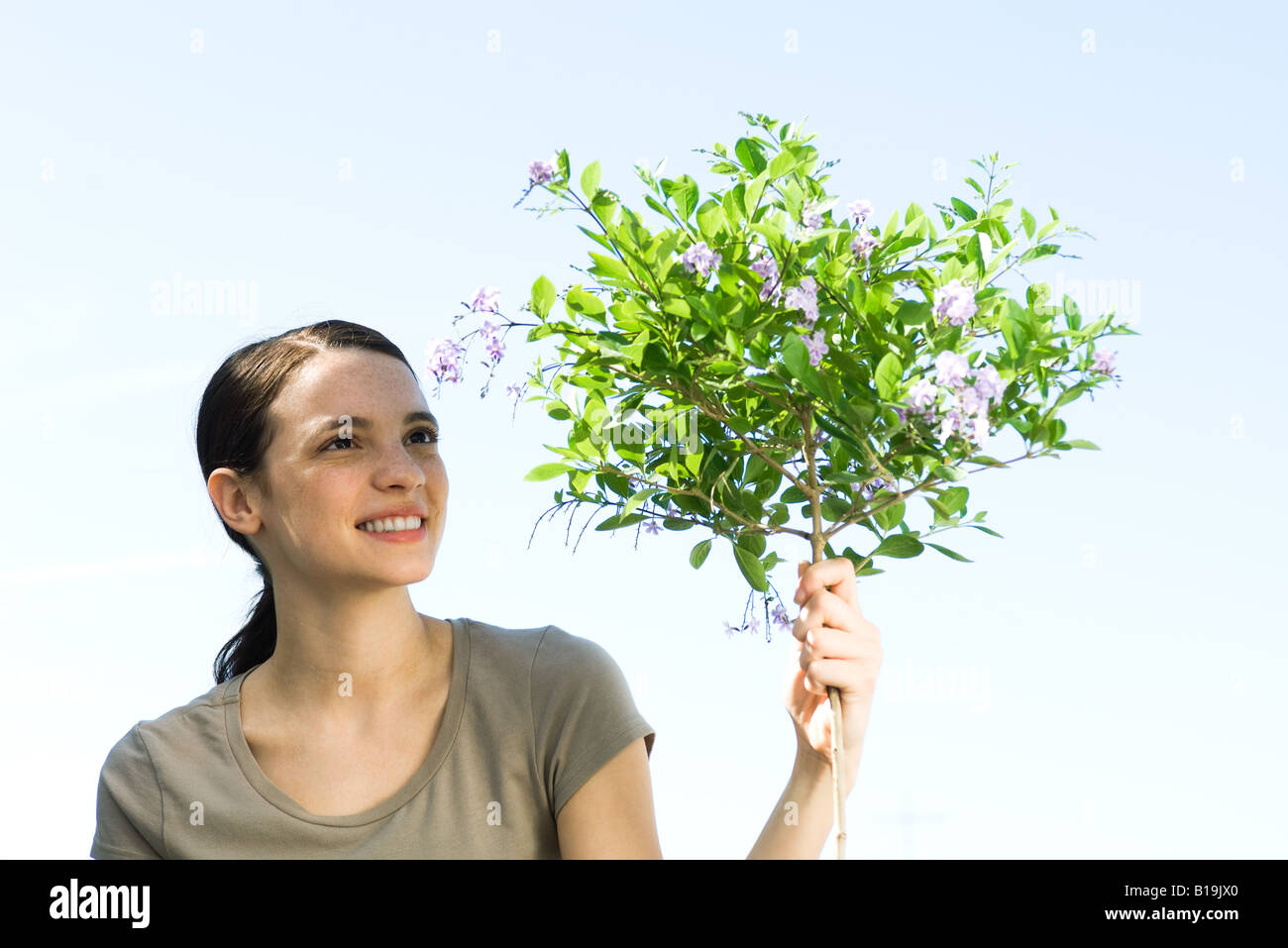 Junge Frau mit Formschnitt Blütenbaum Stockfoto
