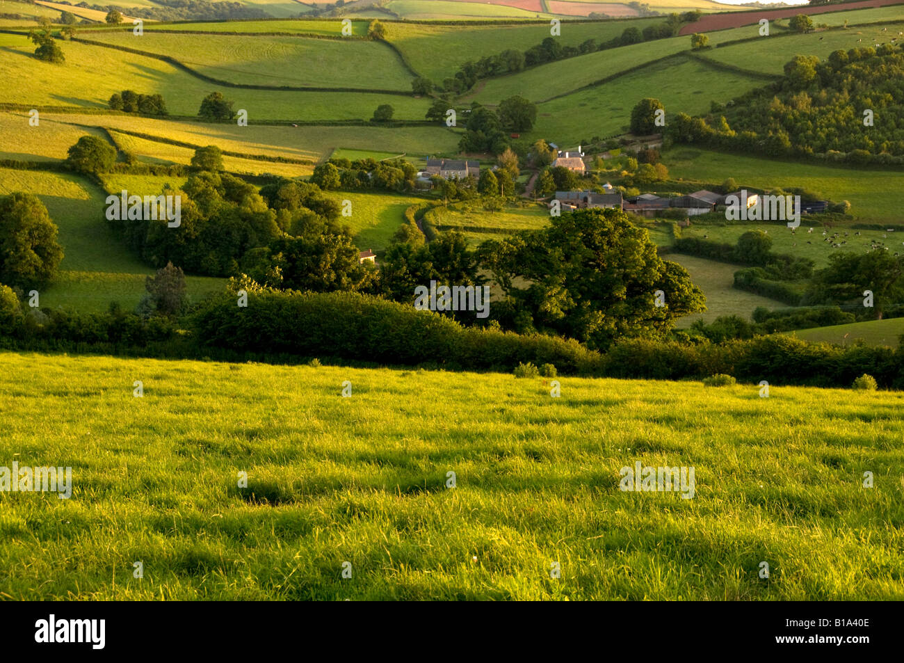 Landschaft in der Nähe von Ashprington. Devon Uk Stockfoto