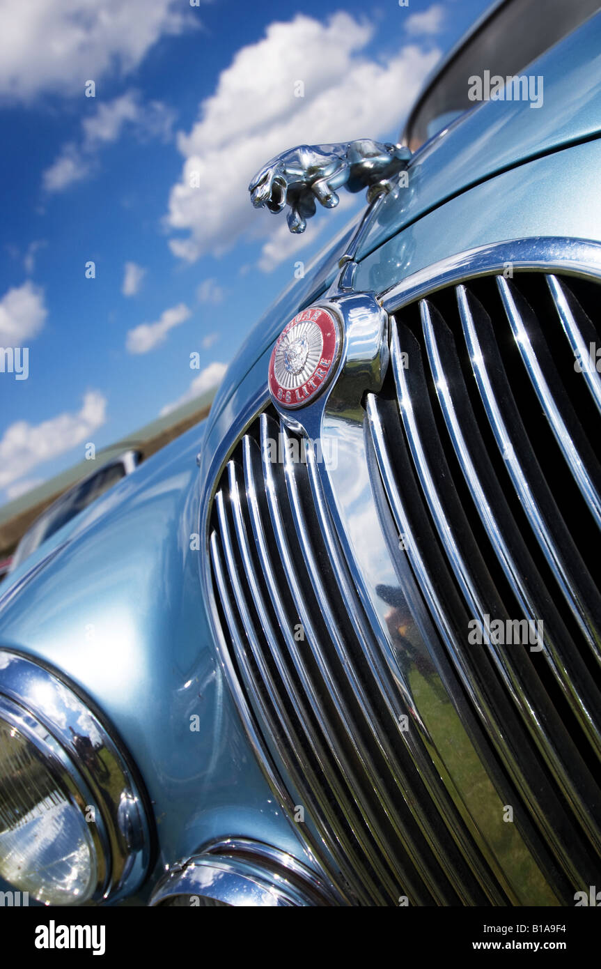MK II 3 8 Liter Jaguar S Type grill Stockfoto